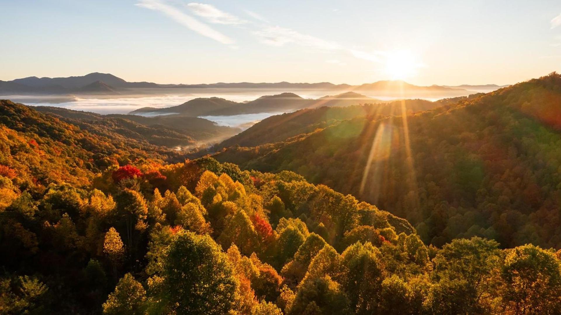 Elk & Embers Mountain Hideaway Otel Waynesville Dış mekan fotoğraf