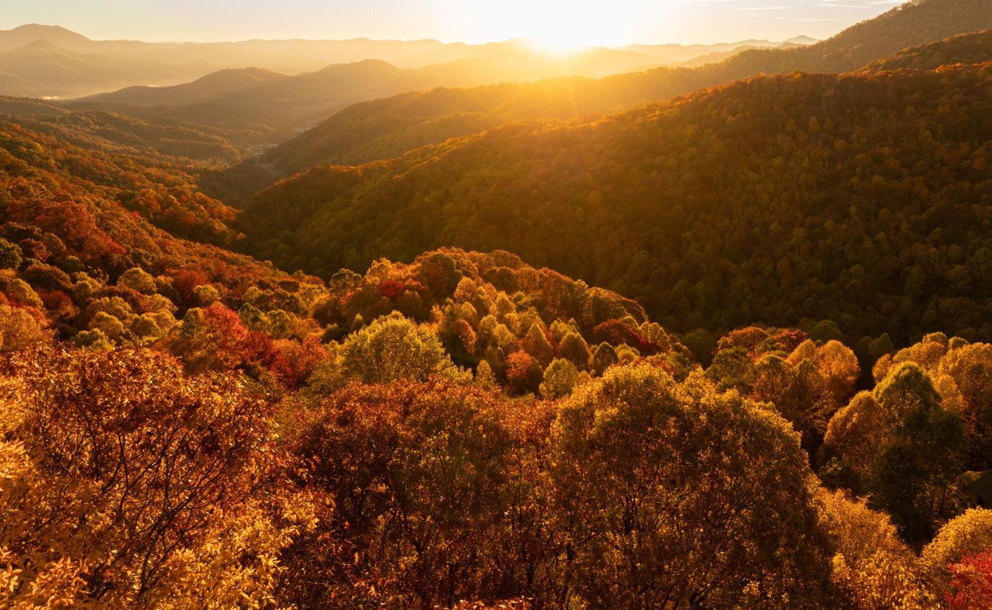 Elk & Embers Mountain Hideaway Otel Waynesville Dış mekan fotoğraf