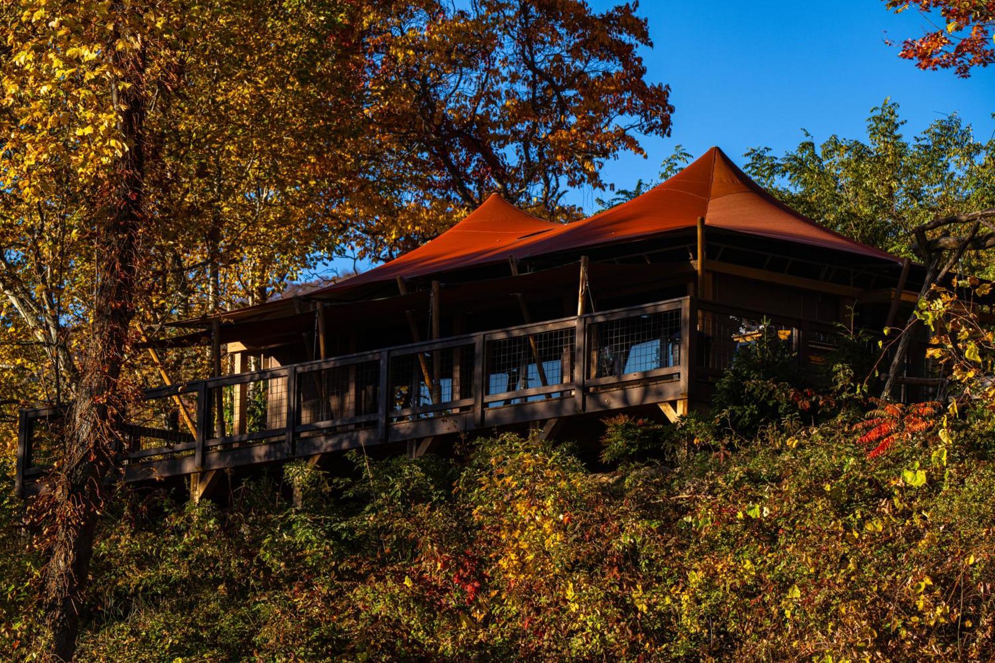 Elk & Embers Mountain Hideaway Otel Waynesville Dış mekan fotoğraf