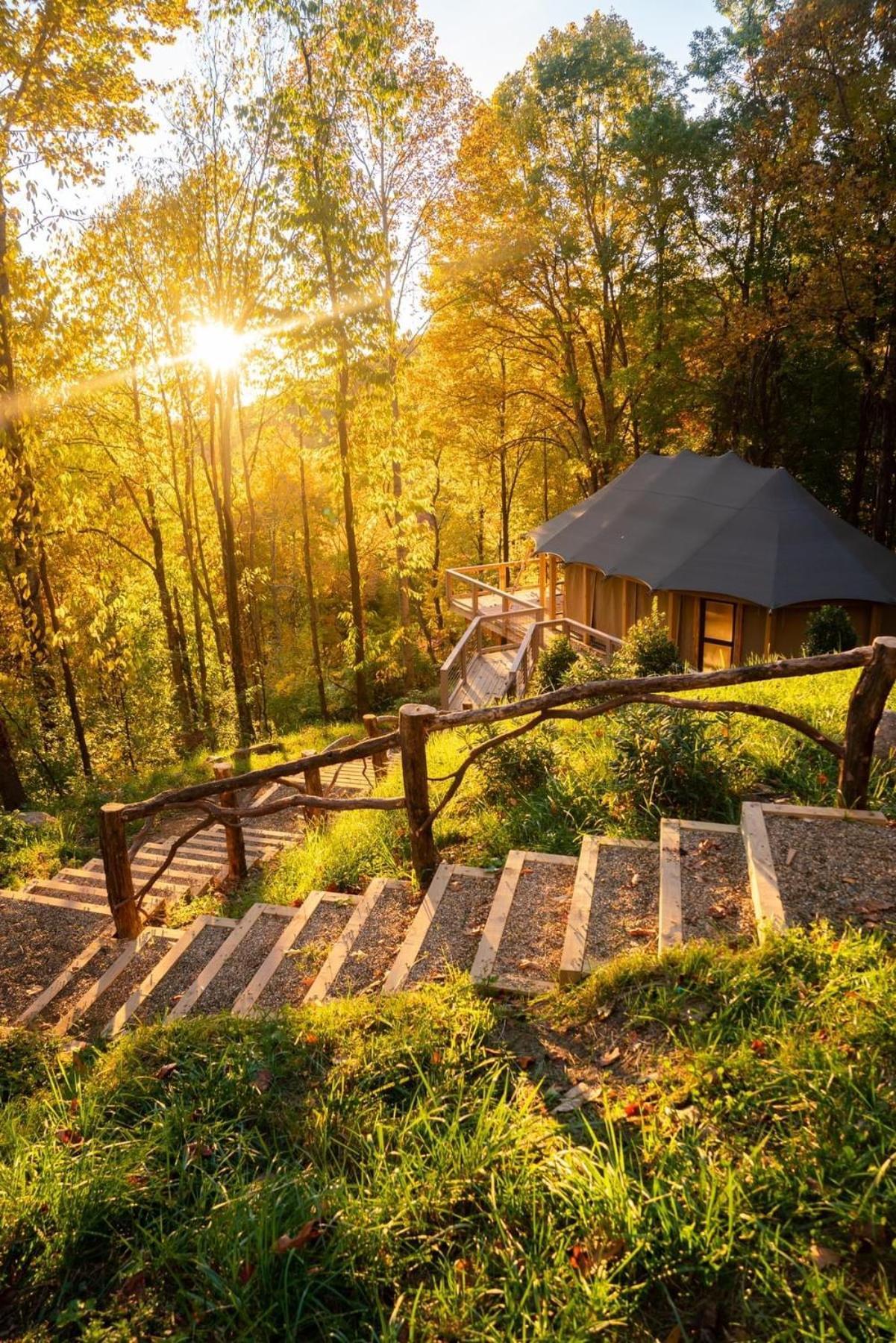 Elk & Embers Mountain Hideaway Otel Waynesville Dış mekan fotoğraf